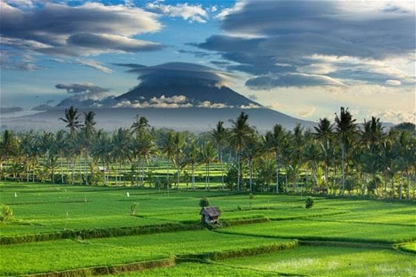 Desa ubud